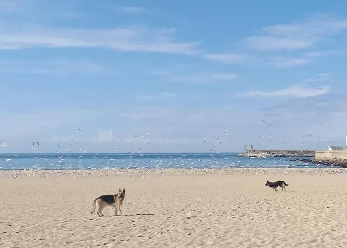 Maria Sardinha_as Três Marias *